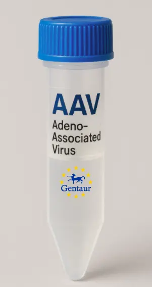 TMEM87B AAV Vector (Mouse) (CMV)